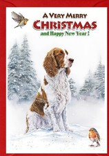 Welsh Springer Spaniel Dog