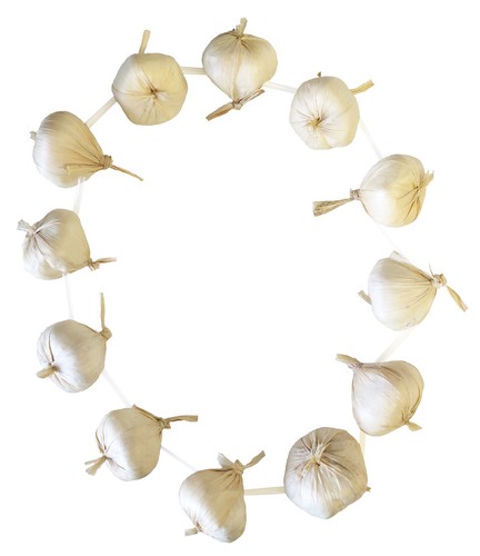 French garlic garland fancy - garland,