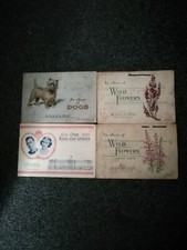 W. D. & H. O. Wills Cigarette
