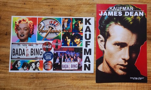 Steve kaufman pop art - steve,