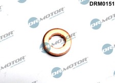 Seal Ring, injector for VW