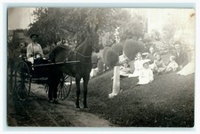 Beautiful Women with Carriage