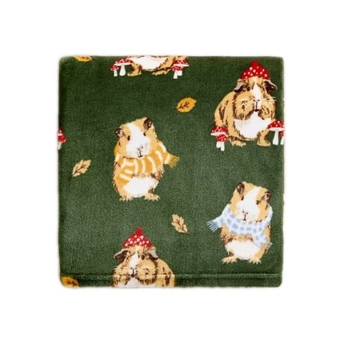 Guinea pig supper soft - supper,