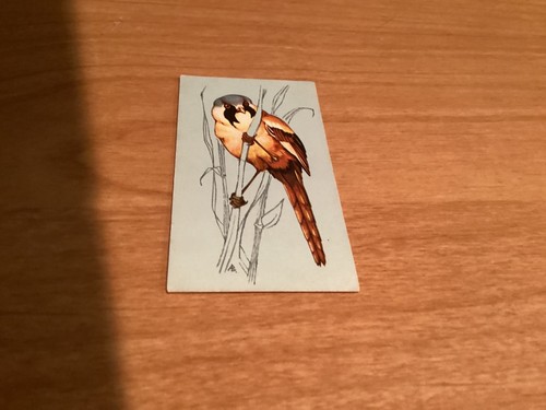 Tetley tea cards - cards,
