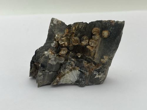 Wavellite natural mineral from - natural,