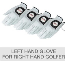 Kirkland Signature Leather