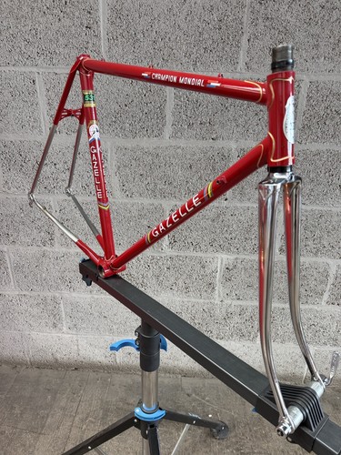 Gazelle red champion - gazelle, mondial