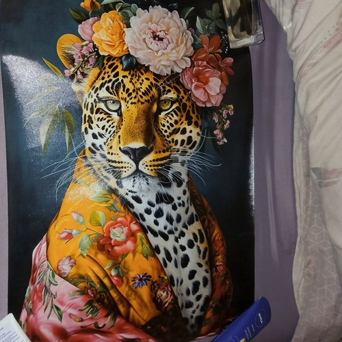 Tiger canvas wall art - tiger,