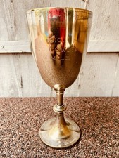 🏆 Silver Trophy Big Large