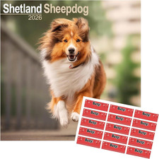 Shetland Sheepdog Calendar