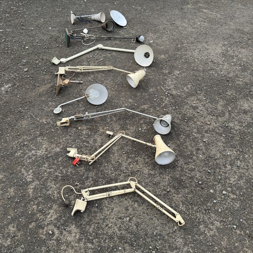 Anglepoise job lot herbert - job,
