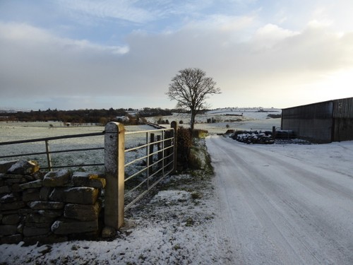 Photo 6x4 claragh road - claragh,