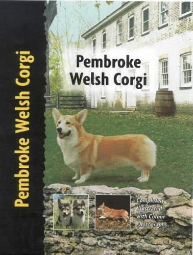 Pembroke welsh corgi pet - pembroke,