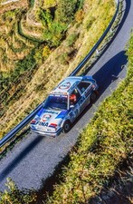 Gregoire de Mevius Willy Lux