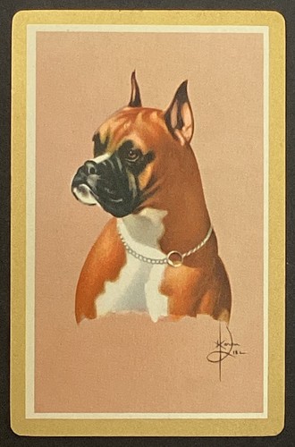 Boxer dog vintage - boxer, swap
