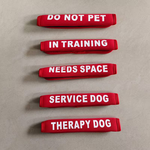 Pet training therapy service - training,
