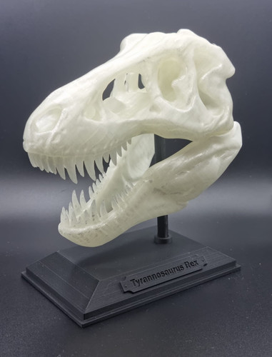 Tyrannosaurus rex skull - rex,