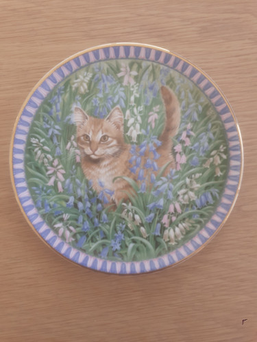 Meet kittens bone china - kittens",