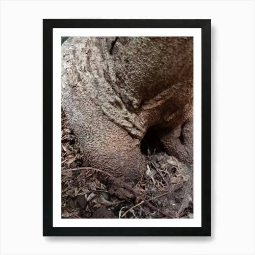 Tree trunk art print - trunk,