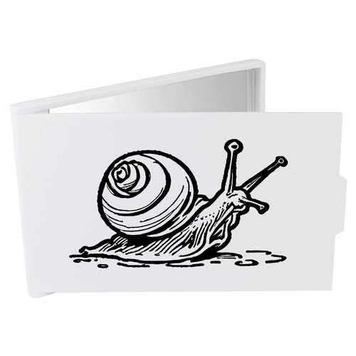 Giant african snail compact - 'giant, snail'
