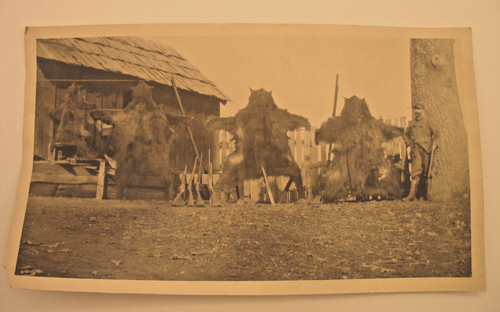 Vintage photograph bear - vintage,