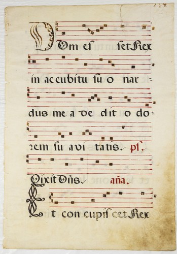 16th century illuminated - 16th,
