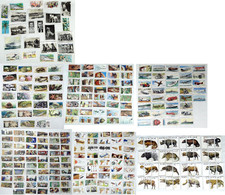 Cigarette Cards Job lot Bulk Collection Wills Mitcham Foods Senior Service Kane