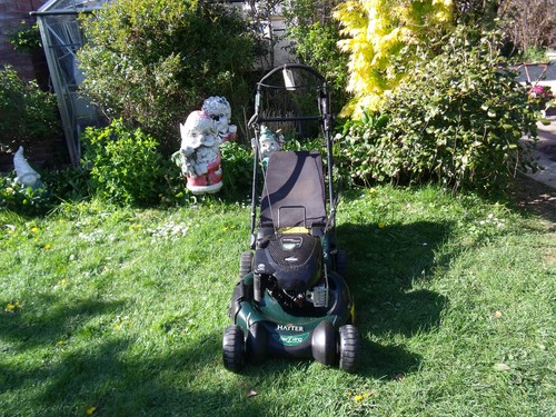 Hayter r53s recycler - recycler, lawnmower