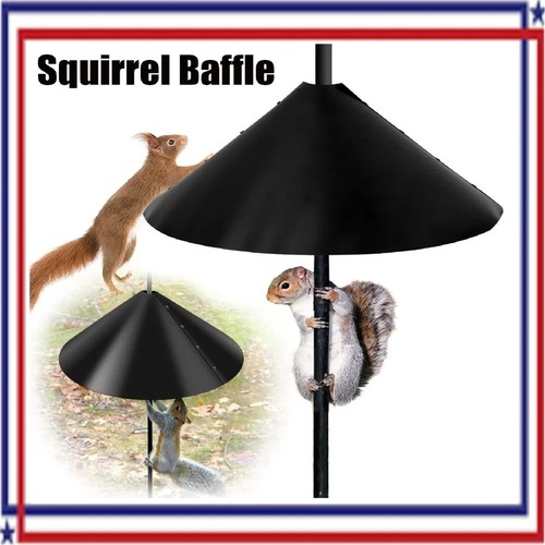 Large around wrap squirrel - large,