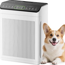 Air Purifiers for Home Large