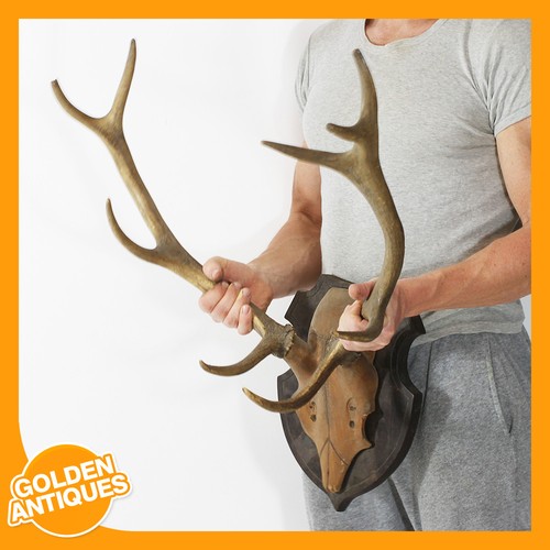 Large red deer - large,