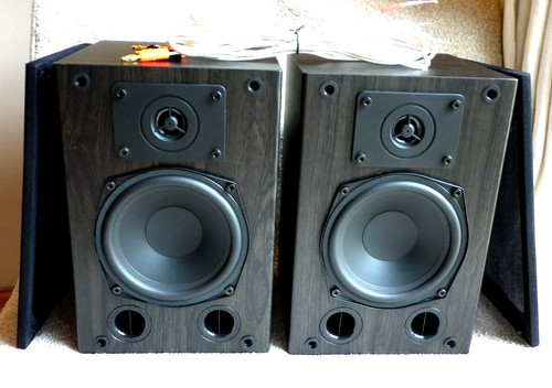 Quality gale gold - gale, monitor