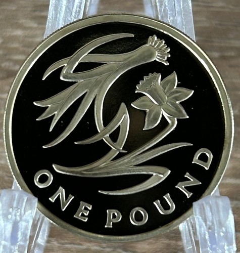 One pound proof coins - one,