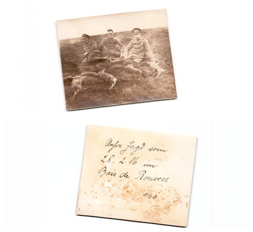 Bois rouvres - bois,