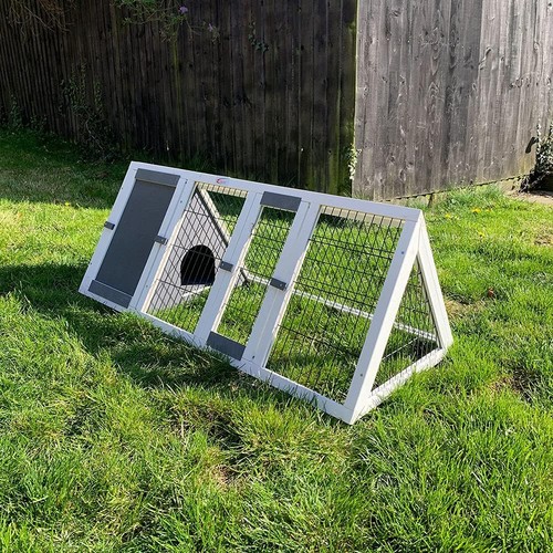 Bunny business pet supplies - bunny,