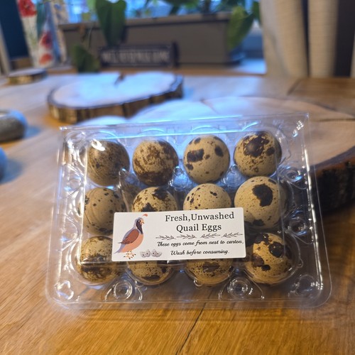 Quail eggs pack - quail, fresh