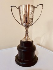 Silver trophy - silver,