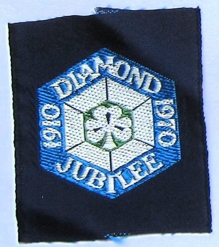 Girl guide ribbon badge - ribbon,