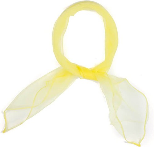 Chiffon scarf small - scarf,