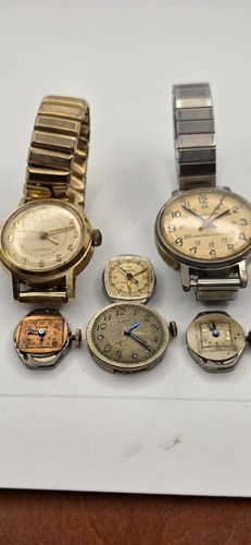 Lucerne elgin timex aerni - lucerne,