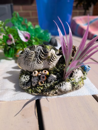 Artificial coral shelle for - artificial,