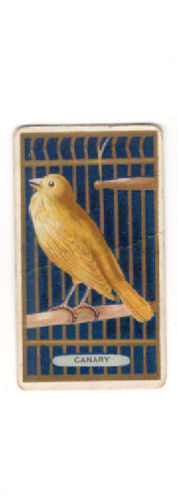 1910 t42 bird series - 1910,