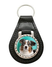 Australian Shepherd Dog