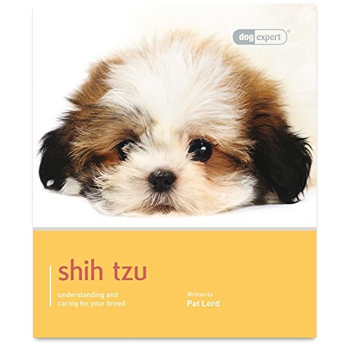 Shih tzu dog expert - dog, pat