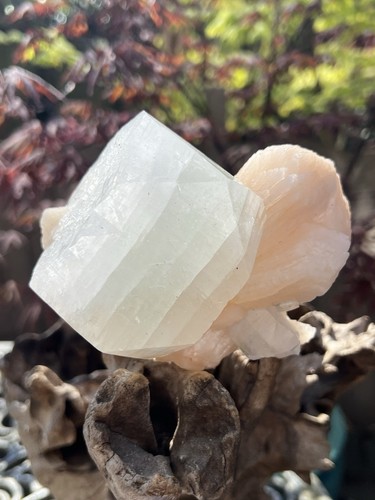 Green multi cubic apophyllite - multi,