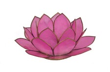 Lotus Atmospheric Capiz Shell