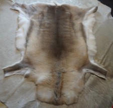 Superior Quality Calfskin