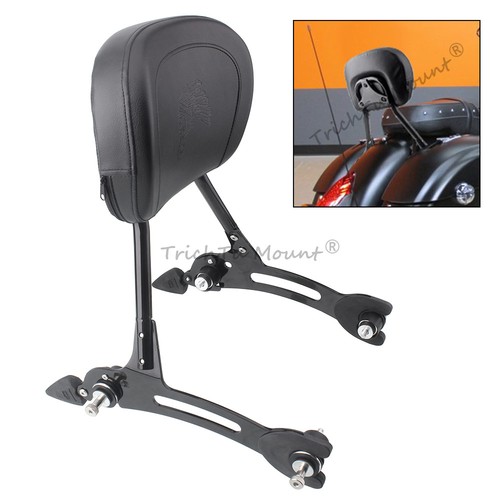 Passenger sissy bar - passenger, backrest