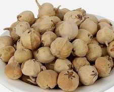 Paneer Dodi | Indian Rennet |