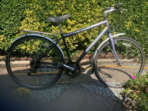 Raleigh pioneer metro airlite - raleigh,